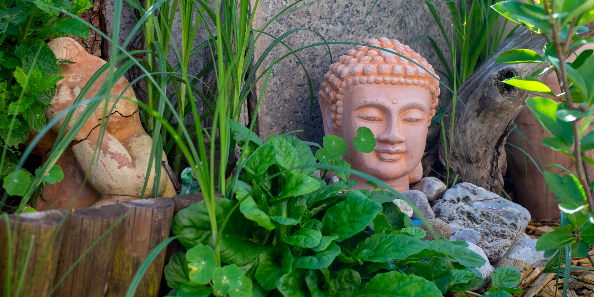 Satsang in Stuttgart – live und online