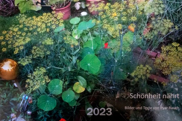 Pyars Kalender 2024 (A4)
