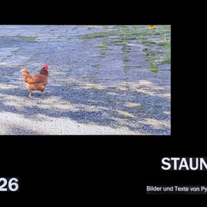 Pyars Kalender 2026 (A3)